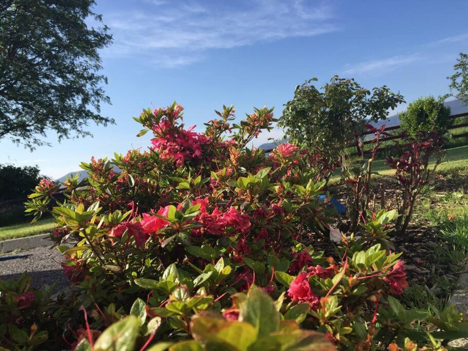Killarney Farm House. 외부 사진